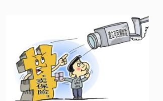 11月起互联网保险销售新规 强化监管，保障消费者权益